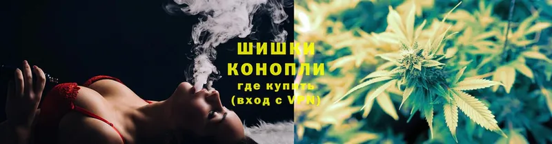 Шишки марихуана Amnesia  ссылка на мегу как зайти  Камышин 